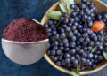 Unlocking the Power of Freeze-Dried Canadian Wild Blueberry Powder: A Nutritional and Culinary Marvel