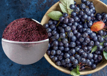 Unlocking the Power of Freeze-Dried Canadian Wild Blueberry Powder: A Nutritional and Culinary Marvel